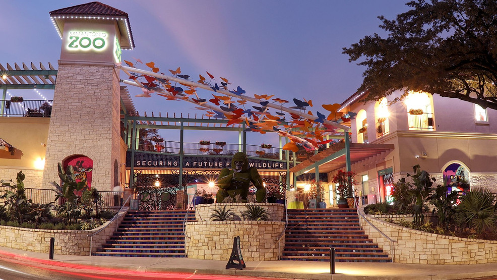 052d977b-925c-4077-879d-1f5325ff220e-large16x9_SteveFanningDirectUploader2Dec202303_04UTC