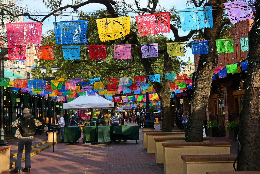 49753432518_bcf22740fa_b